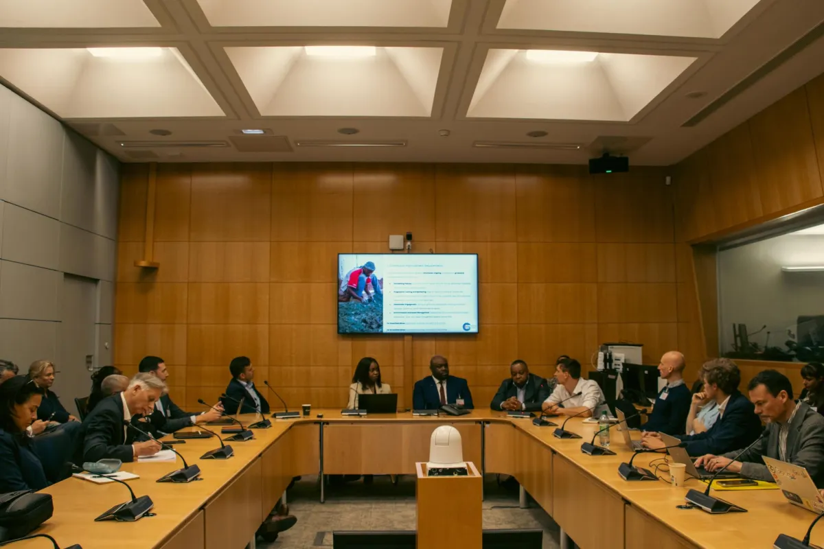 Cobalt Advocates Push to Formalize Congo’s Artisanal Mines