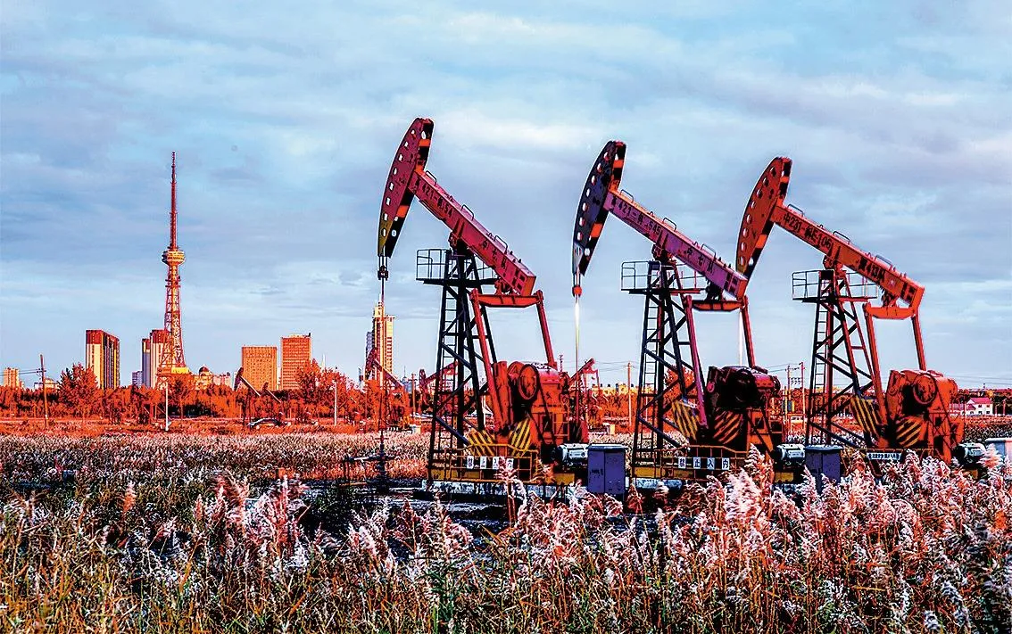 China’s Bid for Mineral Dominance Tests Afghanistan and Pakistan’s Riches