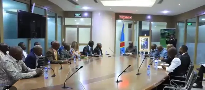 Congo Mines minister met Union representatives