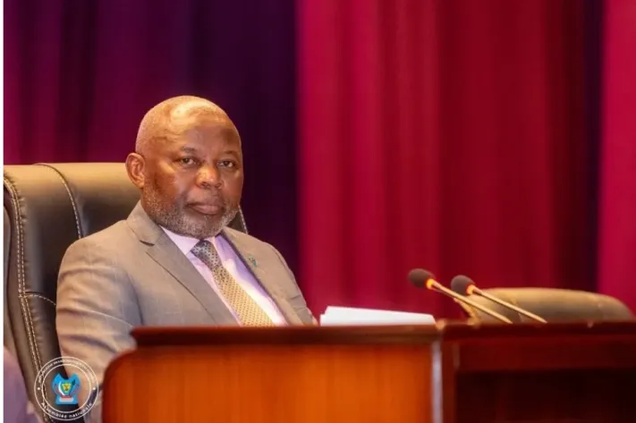 Vital Kamerhe Calls for Comprehensive Mining Reform in DRC Amid Widespread Challenges