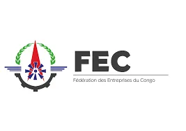 DRC Chamber of Mines Website Goes Live Under Fédération des Entreprises du Congo